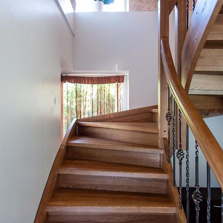 Pas Jolanta Apartment พาลังกา ภายนอก รูปภาพ